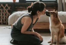 Hablarle con cariño y no con autoridad: expertos explican por qué los perros aprenden mejor cuando se les usa un tono amable