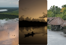 Del Parque Nacional Mariusa al Caño Mánamo: El mapa del ecoturismo ideal para visitar el Delta del Orinoco (+ Fotos)