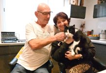 Instito felino: El gato que recorrió 250 kilómetros desde España para volver a casa cinco meses después de perderse en una gasolinera