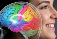 El cerêbro detrás de la sonrisa y los gestos faciales: por primera vez científicos identifican una rëd oculta que coordina nuestras expresiones