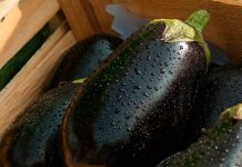 Expertos descubren un compuesto en la berenjena que frena el cáncër de colon: extractos naturales con actividad antitümoral