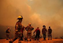 Chile actualiza balance de incêndios: 800 viviendas dêstruidas y 23 focos activos en el centro-sur (+ Detalles)