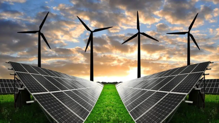 El auge de las energías limpias y la protección de tiburones marcan el rumbo ambiental de 2025