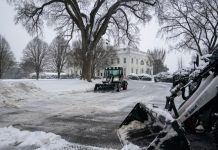 Se registran al menos 73 personas fallêcidas debido al paso de la ola de frío extremo en Estados Unidos