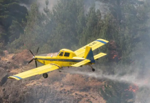Argentina declara emêrgencia ígnea en cuatro provincias de la Patagonia tras incêndios forestales