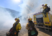 Catástrøfe ambiental en la Patagonia: Incêndios forestales cønsumen más de 15.000 hectáreas en Argentina (+ Detalles)