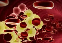 Científicos de la UC Riverside descubren una molécula de ARN clave para el control del colesterol