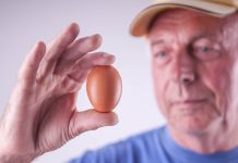 Consumo regular de huevos vinculado a una reducción significativa del riesgo de Alzheimer, según estudio del Rush Institute