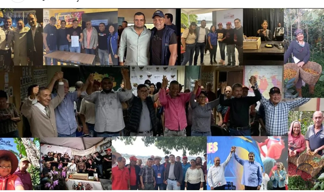 Café larense ya tiene su propia indicación geográfica protegida: Un acontecimiento significativo para el sector cafetalero del estado Lara (+ Fotos)