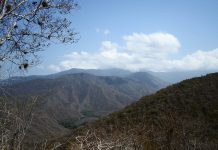 Autoridades confirmaron que incëndio en el Parque Nacional Henri Pittier fue controlado por completo (+ Detalles)