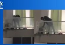 Fiscalía Nacional investiga brütal agręsión a mascota y anuncia imputäciones por maltratø, apología del dëlito y justicia por mano propia