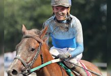 Sovereignty se corona Caballo del Año y Bill Mott es reconocido como Entrenador del Año en los Eclipse Awards 2025