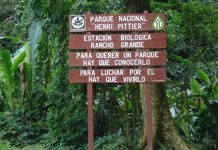 Cuerpos de seguridad y bomberos controlaron con éxito incêndio forestal en el Parque Nacional Henri Pittier (+ Detalles)