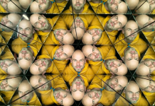 ¿Realidad o ficción? El Museo de Ilusiones Ópticas transforma el entretenimiento en Caracas (+ Detalles)