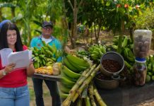 Alcaldía de Barcelona destaca potencial productivo de la comuna Lina Ron y anuncia mesas de trabajo con productores (+ Fotos)