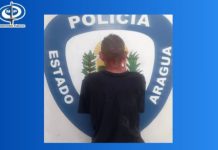 Aprehenden en Aragua a ciudadano que será imputado por maltrato animal tras causar graves lesiones a un perro comunitario