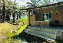 ¿Jubilarse a los 25? El innovador refugio en Kuala Lumpur que ofrecerá un mes de desconexión total (+ Detalles)