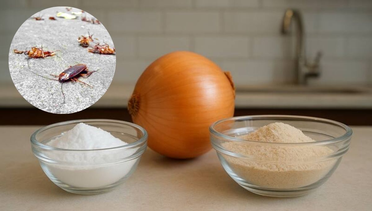 Mezclar cebolla y bicarbonato para eliminar a las cucarachas de casa: combinación casera efectiva