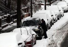 Ola de frío histórico en Florida: temperaturas récord y advertencias de congelación mientras Estados Unidos süfre un invierno extremo