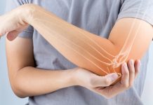 Existen componentes orgánicos que previenen lesïones en la población adulta: conoce cómo fortalecer los huesos