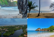 De Higuerote a Río Chico: Descubre las joyas playeras del estado Miranda para explorar en tu próximo viaje (+ Fotos)