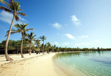 Confort y aventura al alcance de todos: Patucacas ofrece tours por los cayos de Morrocoy (+ Video)