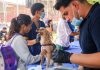 Misión Nevado inició Campaña Nacional de Vacünación Séxtuple canina gratuita: garantizando el bienestar de los animales de compañía