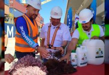 Venezuela exportó más de 108 toneladas de productos pesqueros y algas a Japón y Chile