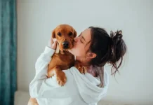 Por qué el amor de las mascotas se parece mucho al amor humano: no juzgan y ofrecen compañía incondicional