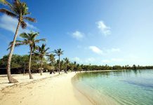 Tecnología y protección ambiental: Anuncian app como nuevo modelo de gestión para cuidar el Parque Nacional Morrocoy (+ Detalles)