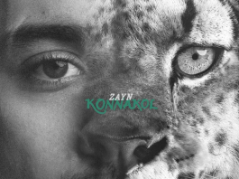 Zayn Malik regresa: El nuevo álbum «Konnakol» explorará ritmos globales y raíces rítmicas indias