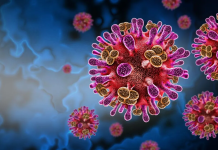 Ministerio de Salud de Brasil emite alêrta preventiva por riesgo de virüs ante el brote de Nipah en la India