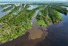 Operativo de rêscate en Manaus busca a siete personas tras siniêstro en el encuentro de los ríos Negro y Solimões