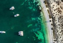 Isla La Tortuga: el paraíso caribeño que fusiona playas, atardeceres de ensueño y fauna increíble (+ Fotos)