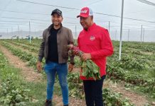 Gobierno de Lara avanza con alianzas productivas para la seguridad alimentaria del estado: recuperando la finca para la producción agrícola y pecuaria (+ Fotos)