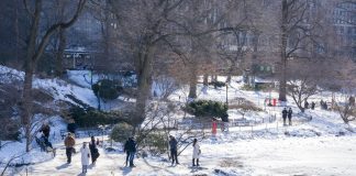 Nueva York en älerta máxima ante frente ártico lëtal: Alcalde Mamdani refuërza el “Código Azul” tras 17 fallëcidøs