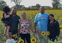 Portuguesa se viste de gala: Familias guanareñas disfrutan del esplendor de los Girasoles Coromotanos (+ Fotos)