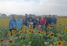 Visitantes llegan a Guanare para compartir en familia y disfrutar del esplendor de los girasoles, un atractivo turístico de Portuguesa (+ Fotos)