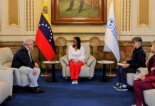 Presidenta Encargada anuncia jornada de vacunación contra la fiebre amarilla en 22 parroquias de cuatro estados