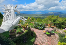 Posada El Encanto: Un espacio donde la naturaleza, el arte, la tranquilidad y el buen gusto se encuentran (+ Detalles)