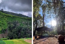 Naturaleza, føgatas y desconexión: La nueva forma de pasear en el Parque Nacional Macarao (+ Detalles)