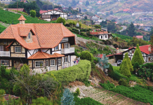 Regenwald Tours revoluciona la experiencia en La Colonia Tovar con un circuito de seis paradas imperdibles (+ Detalles)