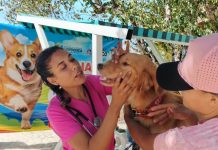 Más de 70 mascotas beneficiadas en jornada veterinaria en Ciudad Orinoco, Anzoátegui (+ Detalles)