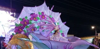 La majestuosidad de la Mascarada 2026 brilló en las calles de Guanare para los carnavales de Portuguesa (+ Detalles)