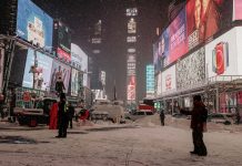 Invierno extremo en Nueva York provoca una reducción visible de roedores en las calles