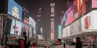 Invierno extremo en Nueva York provoca una reducción visible de roedores en las calles