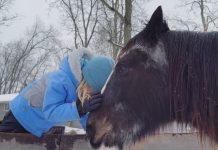 Rêfugio y bienestar: La nueva vida de Amanda Seyfried en una granja de Nueva York (+ Detalles)