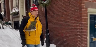 Esquí en el corazón de Massachusetts: Los vecinos de Boston convierten las calles históricas en estaciones invernales (+ Video)