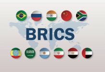 Países BRICS desarrollan activamente las fuentes de energía renovable: La califican como la paradoja central de la gobernanza climática