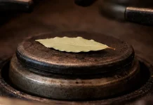 Dejar una hoja de laurel en la hornalla: qué beneficios se le atribuyen y cuándo hacerlo